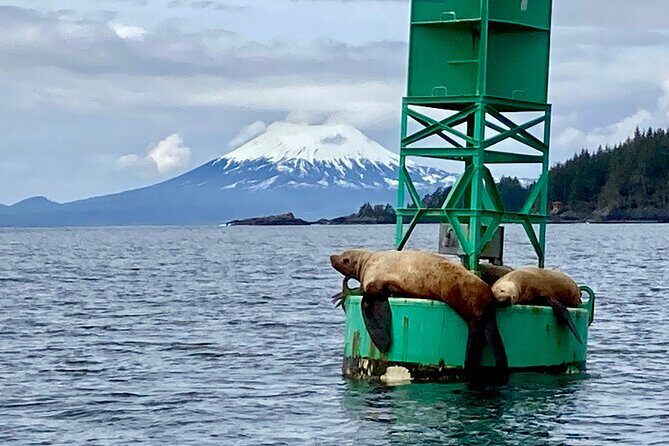 4 Hour Sitka Eco-Friendly Catch & Release Private Fishing Charter - Final Thoughts