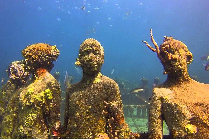 4-hour snorkel cruise to Underwater Sculptures with boat dogs - What to Expect from This Snorkel Cruise