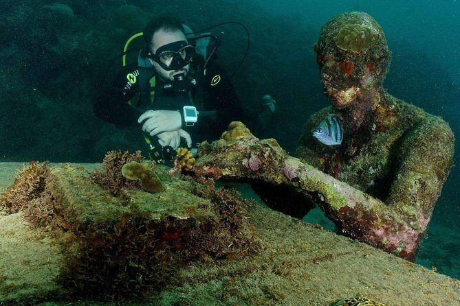 4-hour snorkel cruise to Underwater Sculptures with boat dogs - Who Will Love This Tour?