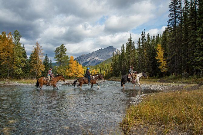 4 Hour Sulphur Mountain Horseback Ride - Who Will Enjoy This Experience?