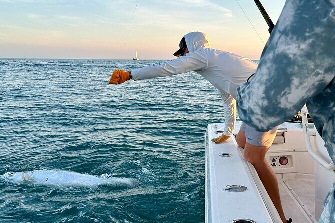 4 Hour Sunset Seasonal Tarpon Charter from Key West - Who Should Consider This Trip?