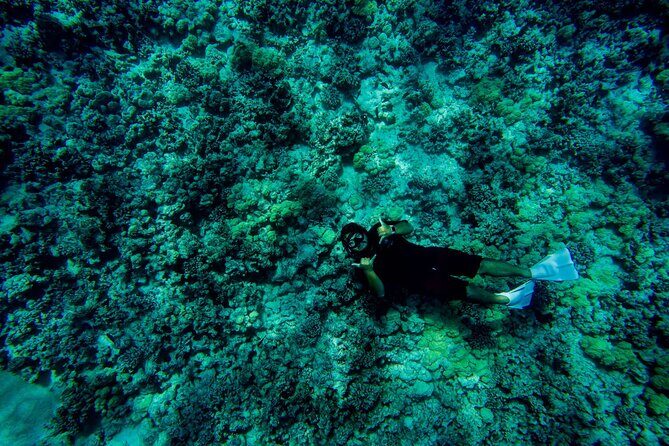 4 Hour Super-Raft Snorkeling Experience in Kailua-Kona - Practical Considerations