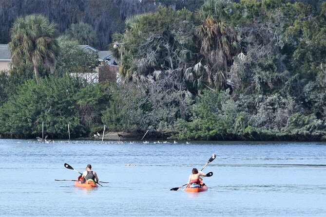 4 Hour Tandem Kayak Rental For Two People In Crystal River, Florida - Who Is This Experience Best For?
