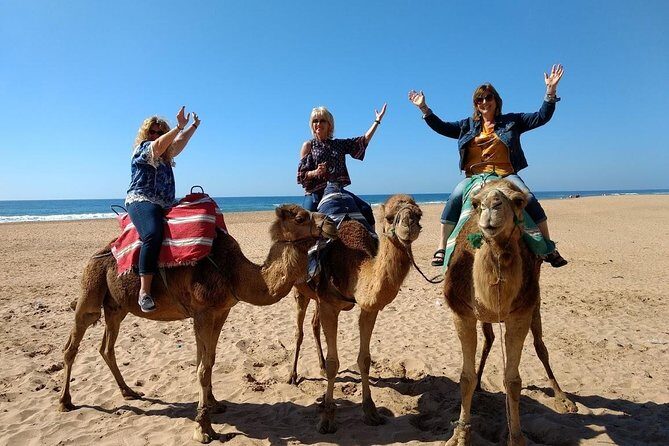 4 Hour Tangier City Private Tour - Frequently Asked Questions