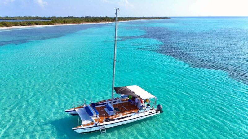 4 Hour Turtle Sanctuary Experience on a Luxury Catamarán - The Practicalities: Booking, Timing, and Tips