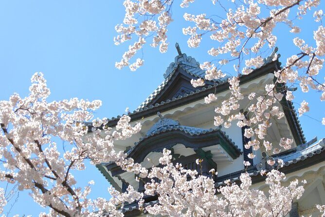 4 Hour Unique Kanazawa Cherry Blossom Sakura Private Experience - Introduction