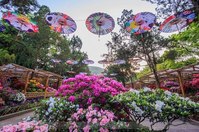 4-Hour Wuxi Private Tour: Huishan Old Town, Jichang Garden and Nanchan Temple - Final Thoughts: Who Will Love This Tour?