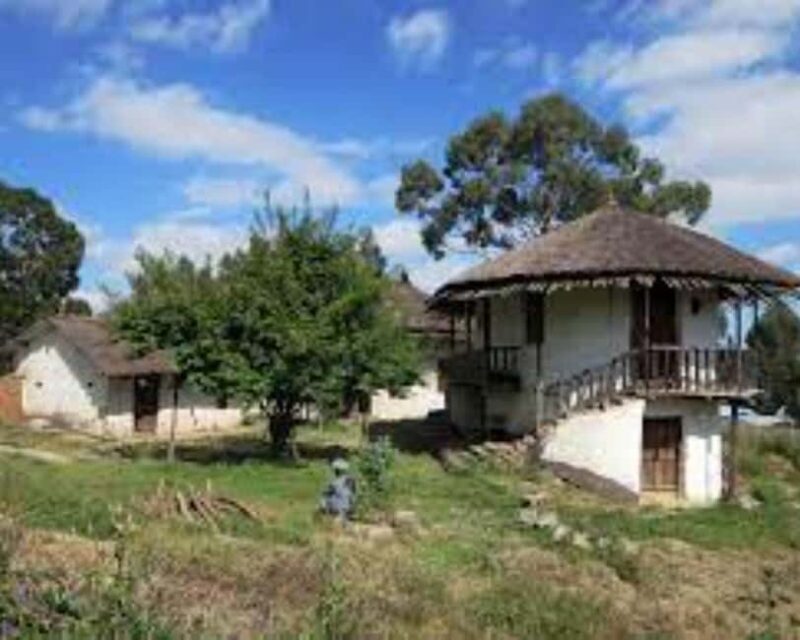 4 Hours Addis Ababa Cultural Discovery Tour - Authentic Encounters and Cultural Insights