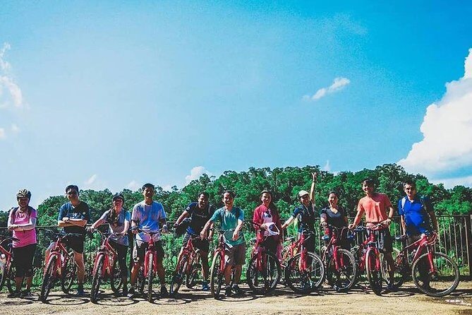 4 Hours Cycling in the Nature at Pulau Ubin Singapore - Key Points