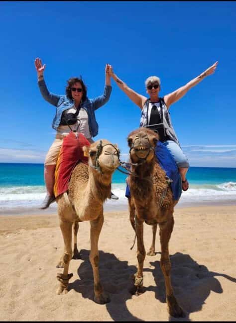 4 Hours Deluxe Guided Tour of Tangier + A tour with camels - The Heart of Tangier: The Medina