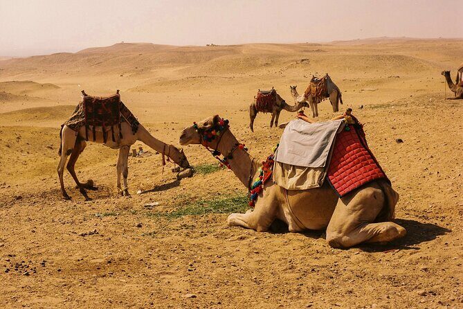 4 Hours Evening Desert Safari Camel Ride Sand Boarding - Frequently Asked Questions