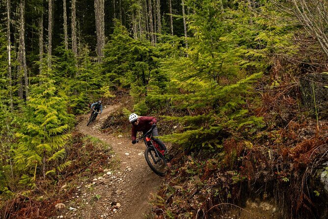 4 Hours Guided Mountain Bike Tour - What to Expect from the 4-Hour Guided Mountain Bike Tour