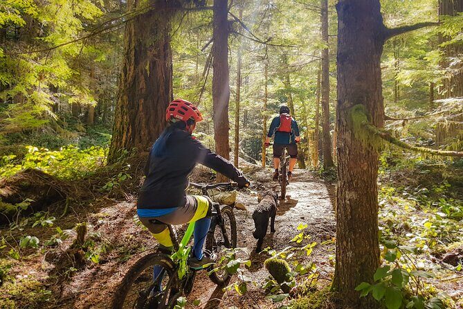 4 Hours Guided Mountain Bike Tour - Who Should Consider This Tour?