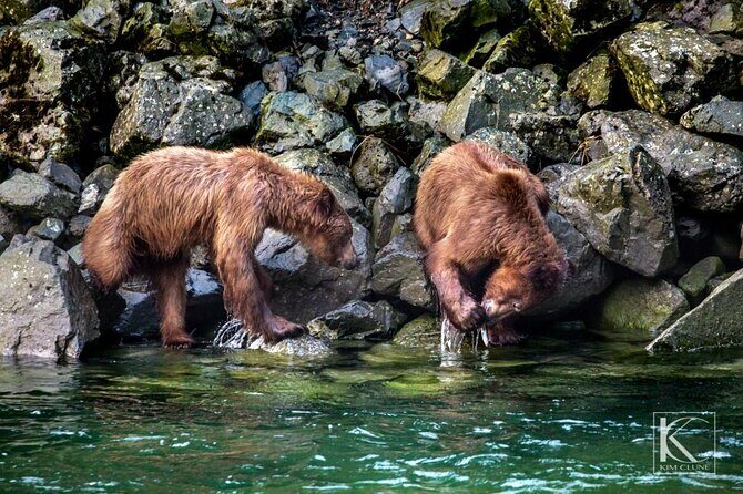 4 hours Haines Chilkoot Wilderness and Wildlife Tour - An In-Depth Look at the Haines Chilkoot Wilderness and Wildlife Tour