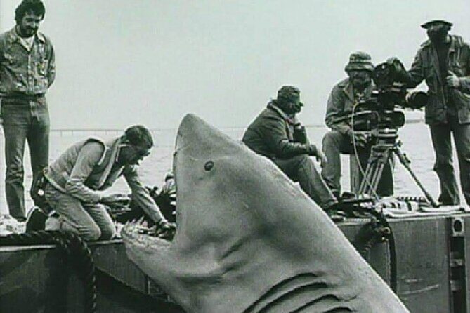 4 hours Hop-on Hop-off Jawsome Jaws Tour - Practical Tips for Travelers