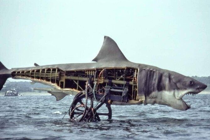 4 hours Hop-on Hop-off Jawsome Jaws Tour - Who Will Love This Tour?