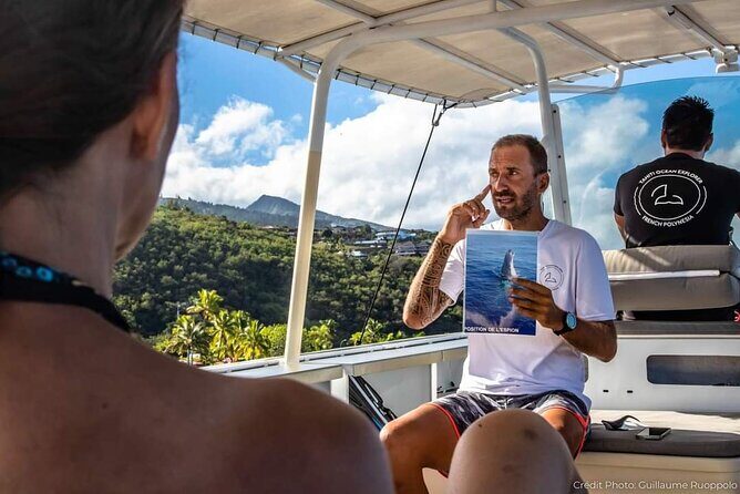 4 Hours of Humpback Whale Watching in Tahiti - Wildlife Encounters Beyond Whales