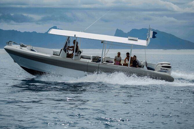 4 Hours of Humpback Whale Watching in Tahiti - The Realities of Wildlife Tours