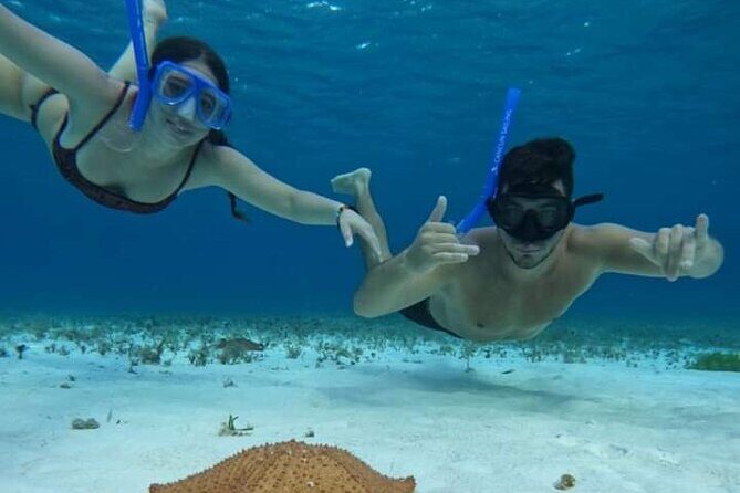 4 hours of shared snorkeling to El Cielo - Why Choose This Tour?