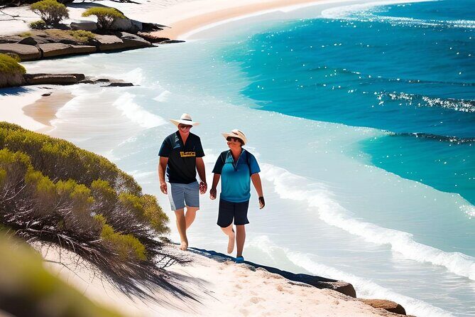 4 Hours Perth City Highlights with Private Chauffeured Tour - A Deep Dive into the Tour Experience