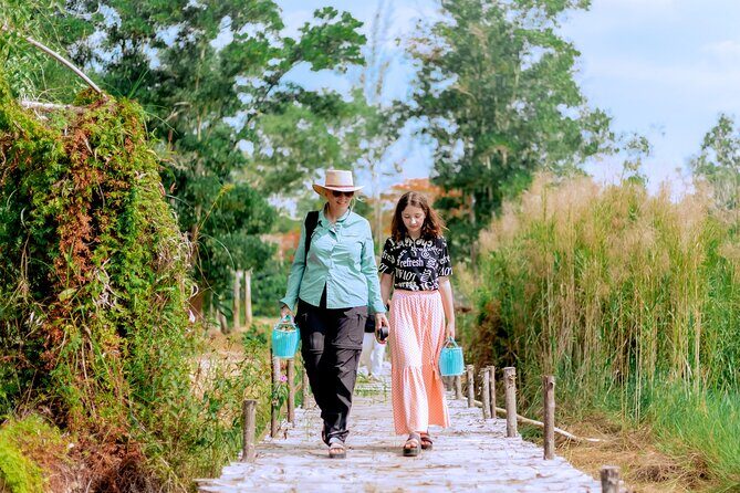 4-Hours Phuket Ethical Elephant Sanctuary Tour with Lunch - Key Points