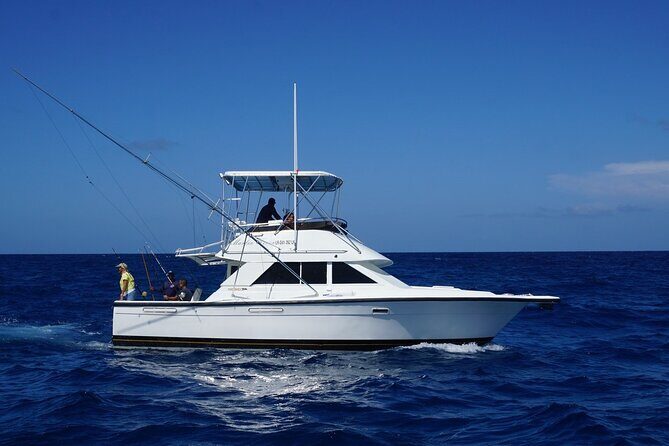 4 Hours Private Fishing Tour Punta Cana - The Experience in Perspective