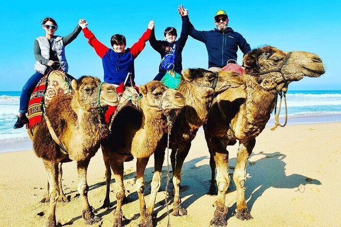 4 Hours Private Tour of Tangier & Camel Ride & Colorful Markets - Final Thoughts