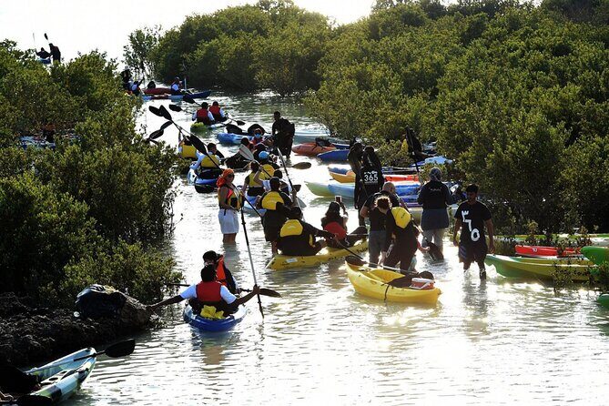 4 Hours Purple Island Mangroves Kayaking Adventure in Qatar - Final Thoughts: Is It Worth It?