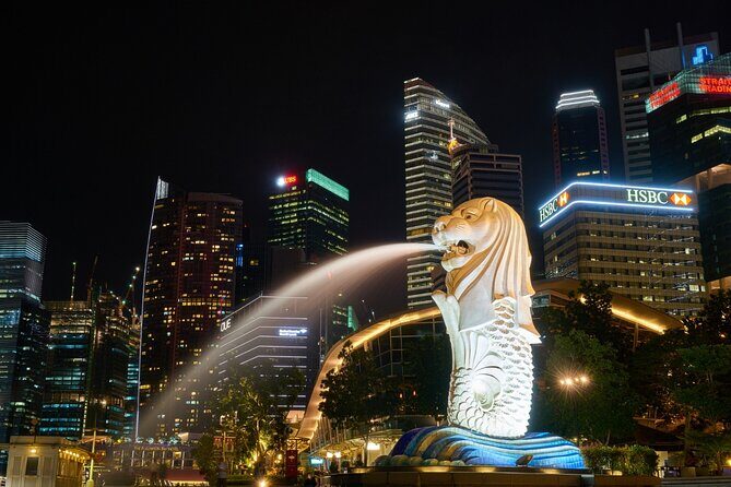 4 Hours - Singapore Tour in Private Car or Minibus with Driver - Why Consider This Tour?