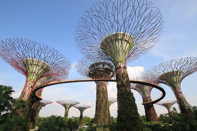 4 Hours - Singapore Tour in Private Car or Minibus with Driver - Review Snippets and Authentic Perspectives