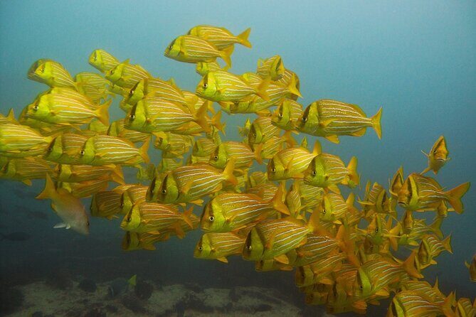 4 Hours Snorkeling Tour in Cabo San Lucas and Corridor - The Itinerary Breakdown