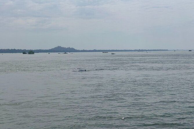 4 hours taking tuk tuk to see Mekong dolphins and countryside - An In-Depth Look at the Tour Experience