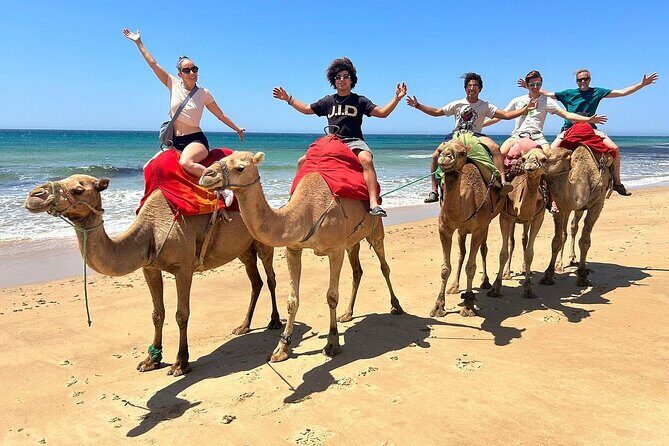 4 Hours Tangier Tour - Hercules Caves: Myth and Natural Beauty