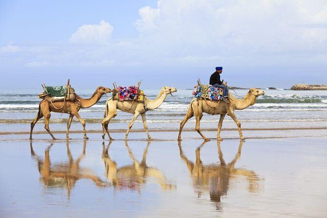4 Hours Tangier Tour - Tangier Casbah: Moroccan Moorish Charm