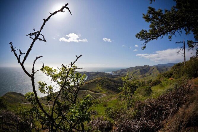 4 Hours Tour Beyond the Golden Gate Bridge Marin Headlands and Sausalito - What It Means for Travelers