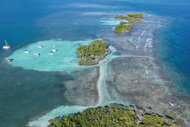 4 hours Tour in La Parguera Private Boat Charter - The Itinerary in Detail