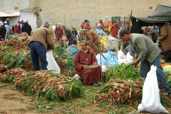 4 hours trekking in the Atlas mountains from Marrakech - Frequently Asked Questions