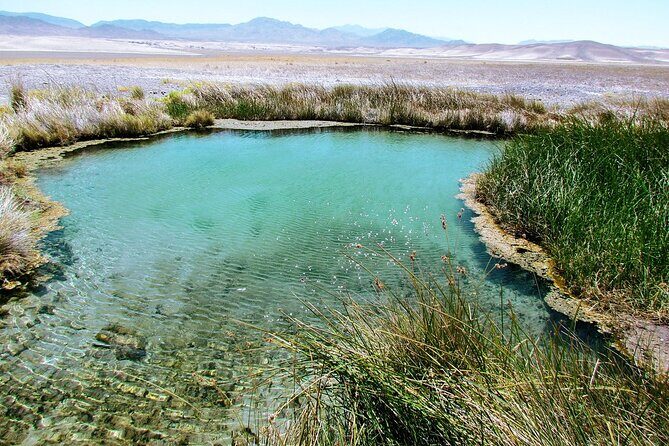 4 hr Private Adventure to Secret Hot Springs near Death Valley - Practical Details: What You Need to Know