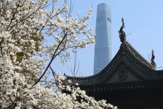 4-Hr Shanghai Layover Tour: Maglev, Wet Market, Food, Landmarks - The Itinerary: What to Expect and Why It Matters