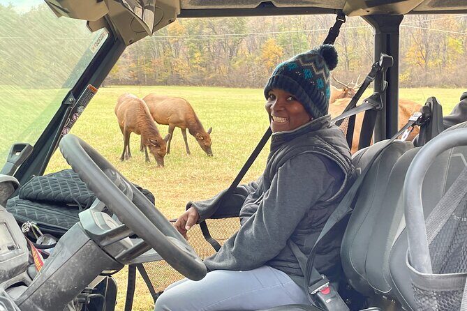 (4 HR) UTV ECO Elk Wilderness Adventure - An In-Depth Look at the UTV Elk Wilderness Adventure
