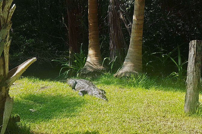 4 in 1 Tour - Mazunte, Cacao Factory, La Ventanilla National Park & Turtle Spawn - What We Learned from Reviews