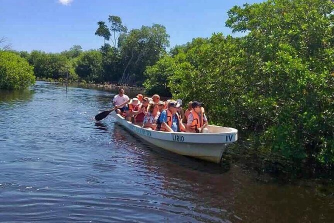 4 in 1 Tour - Mazunte, Cacao Factory, La Ventanilla National Park & Turtle Spawn - Who Should Consider This Tour?