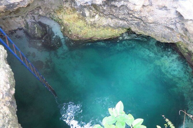 4. Negril Full-Day Guided / Sunset Tours 7miles Beach Blue Hole & Ricks Café - The Guide & Experience: What Sets It Apart