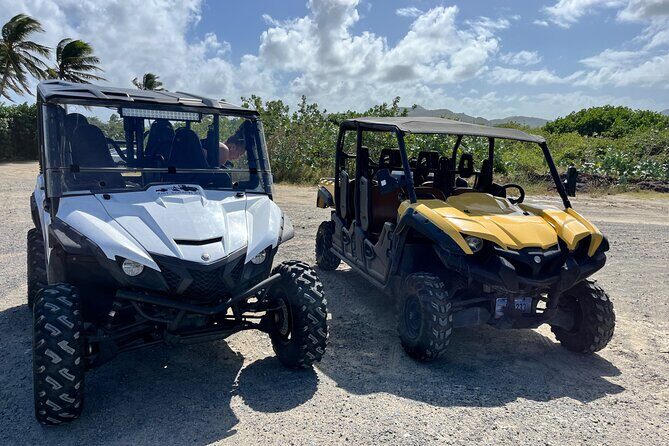 4 Seater Buggy Rental in Sint Maarten - Authentic Reviews and Real Experiences