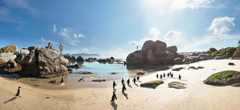 4 Star 5 Days Cape Town Package - The Sum Up