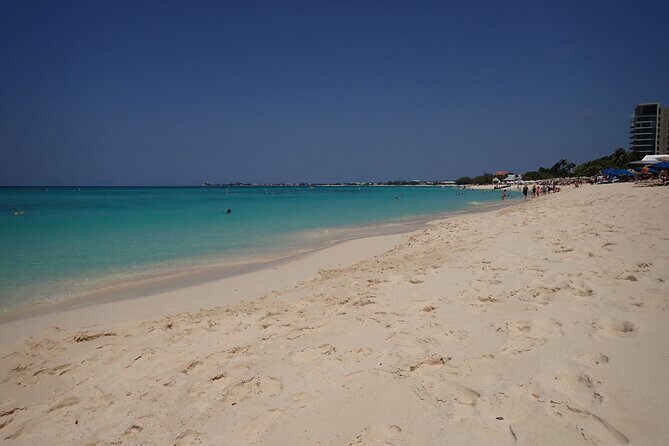 4-Stop Stingray, Snorkel, Star Fish & 7 Mile Beach (Family Owned) - A Detailed Look at the Experience
