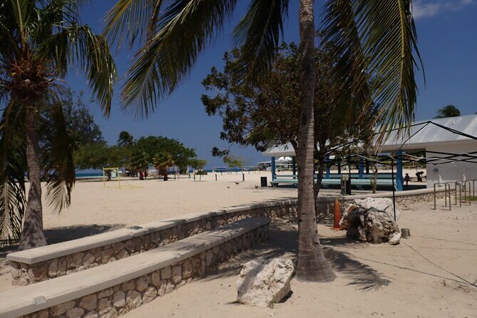 4-Stop Stingray, Snorkel, Star Fish & 7 Mile Beach (Family Owned) - The Sum Up: Who Is This Tour Best For?