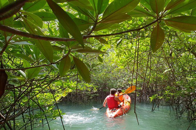 4-Waters Eco-Adventure Trip from Phuket Including Lunch - Relaxation at The Hotspring Beach Resort and Spa