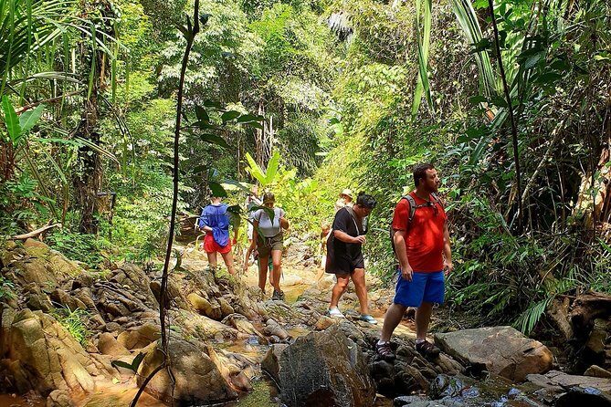4-Waters Eco-Adventure Trip from Phuket Including Lunch - Lunch in Paradise: Sampling Local Flavors