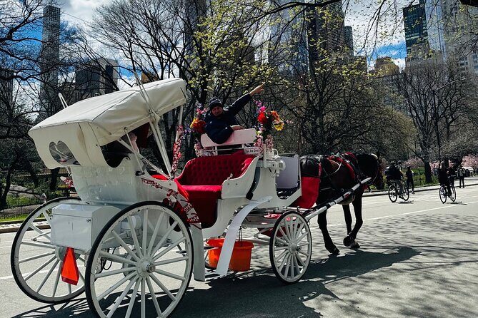 45 min Long VIP Central park carriage ride - Who Will Love This Tour?